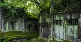 Read more about the article 民间故事：千年人参精