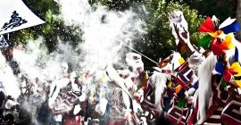 Read more about the article 雪顿节：雪域之巅，生辰之光