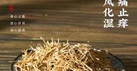 Read more about the article 徐长卿，一种止痛良药