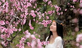 How to break through the rotten peach blossoms in life? ZhanTaoHua is the best choice