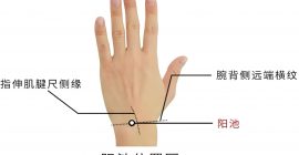 Read more about the article 道医养生|巧用少阳经止痛穴，缓解身体疼痛的秘密