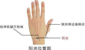 道医养生|巧用少阳经止痛穴，缓解身体疼痛的秘密