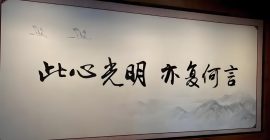 Read more about the article 王阳明：心与万物合一，则万般自在