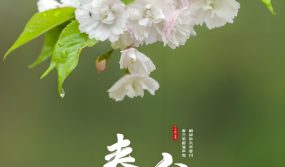 春分：立蛋、吃春菜、送春牛这些习俗少不了