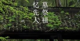 Read more about the article 清明节上坟诵念，太乙救苦宝诰可以超度祖先、为后代积累福报