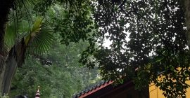 Read more about the article 入道，并不是穿上道服，练一练功夫。唯有人心死，道心活，方才进入清静之门