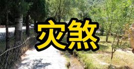 Read more about the article 八字灾煞