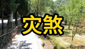 八字灾煞