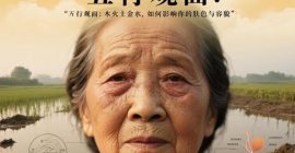 Read more about the article 五行论相貌