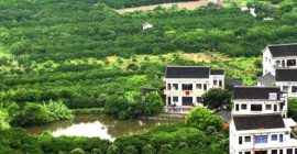 Read more about the article 阳宅风水坐向当运