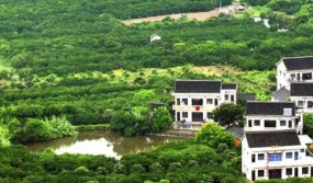 阳宅风水坐向当运