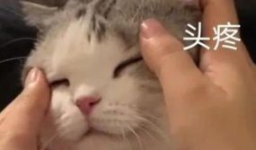 驱鬼、驱邪、驱仙家