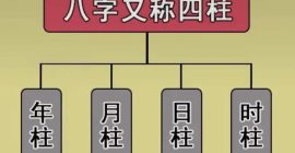 Read more about the article 四柱解析