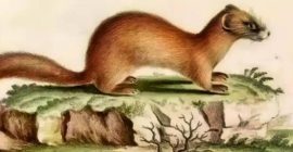 Read more about the article 仇仙怎么化解